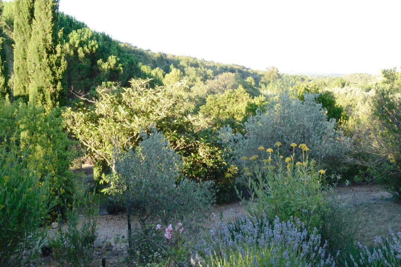 La Briardiere Camélas Buitenkant foto